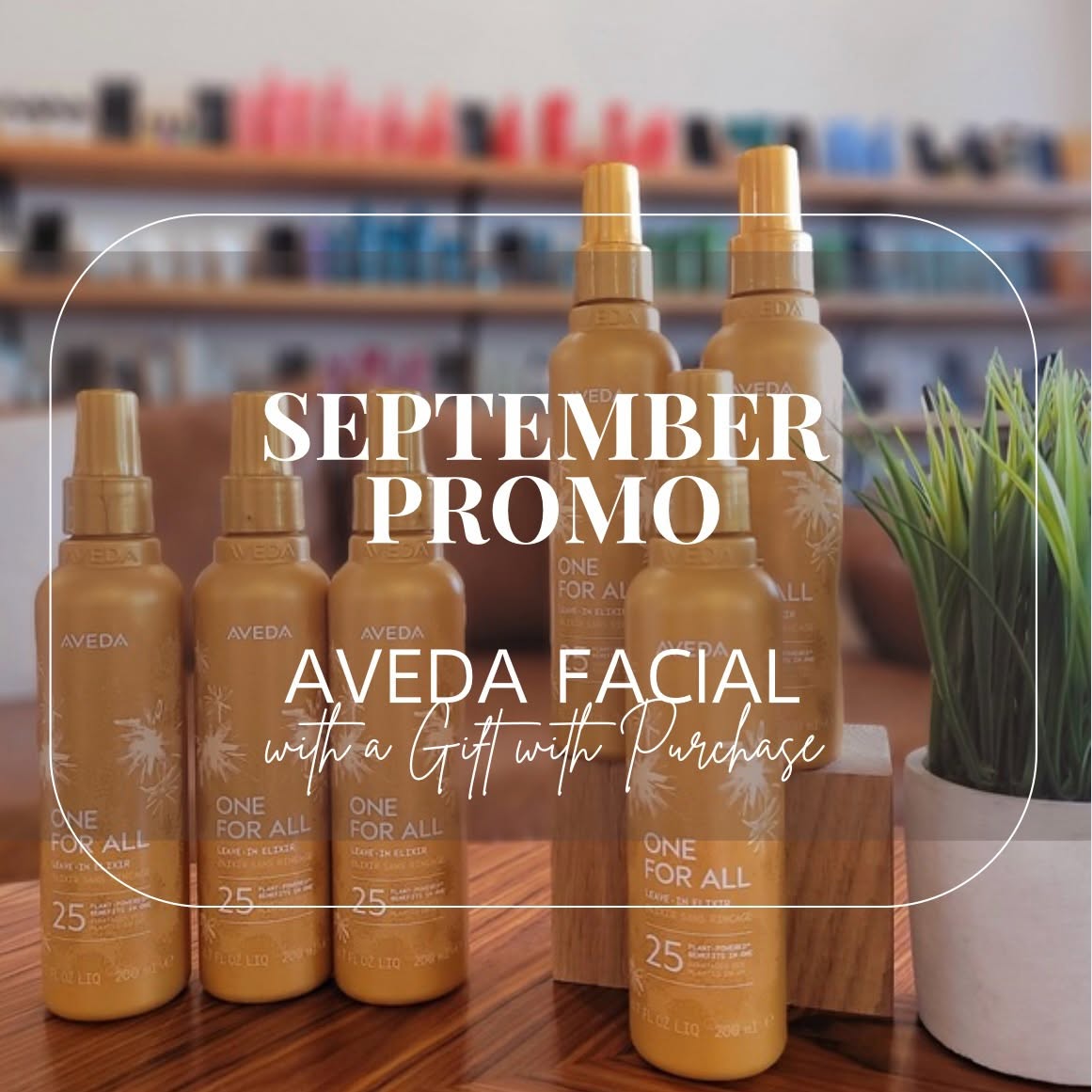 Septpromo